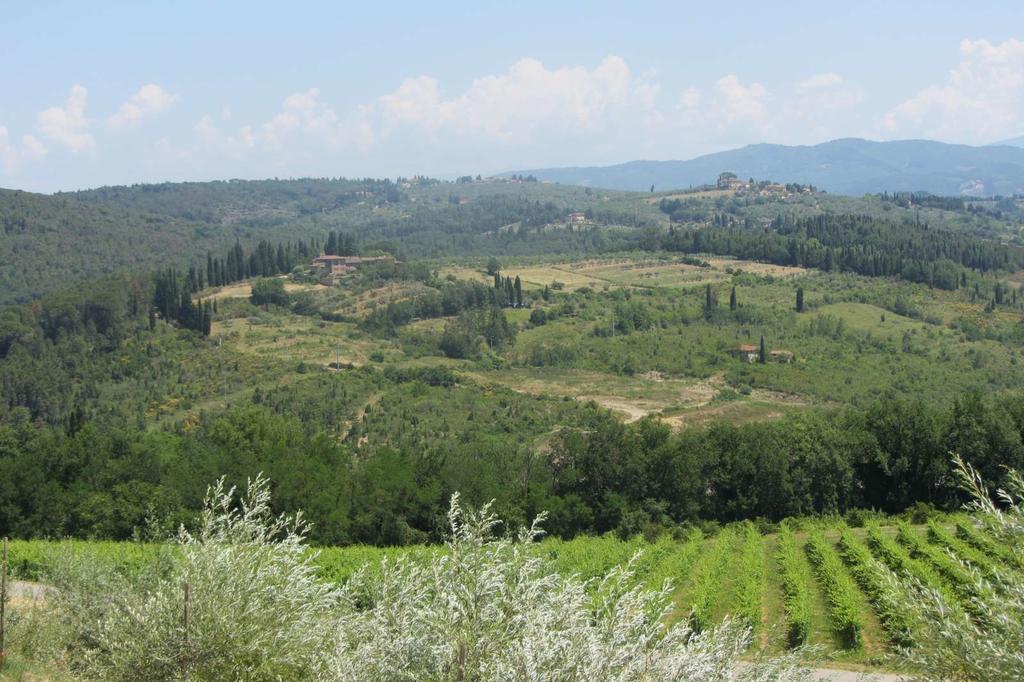 Winery Houses In Chianti Mercatale Val Di Pesa Szoba fotó