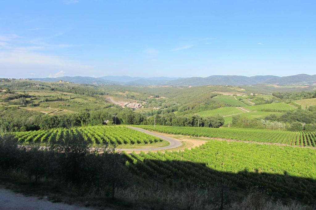 Winery Houses In Chianti Mercatale Val Di Pesa Kültér fotó